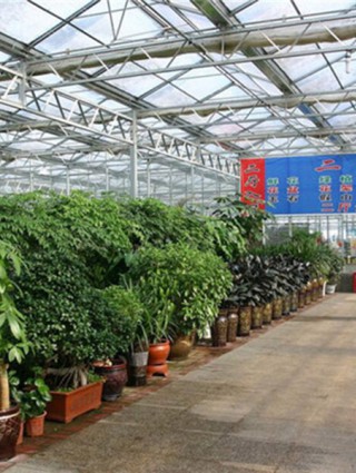青州國際花卉市場施工